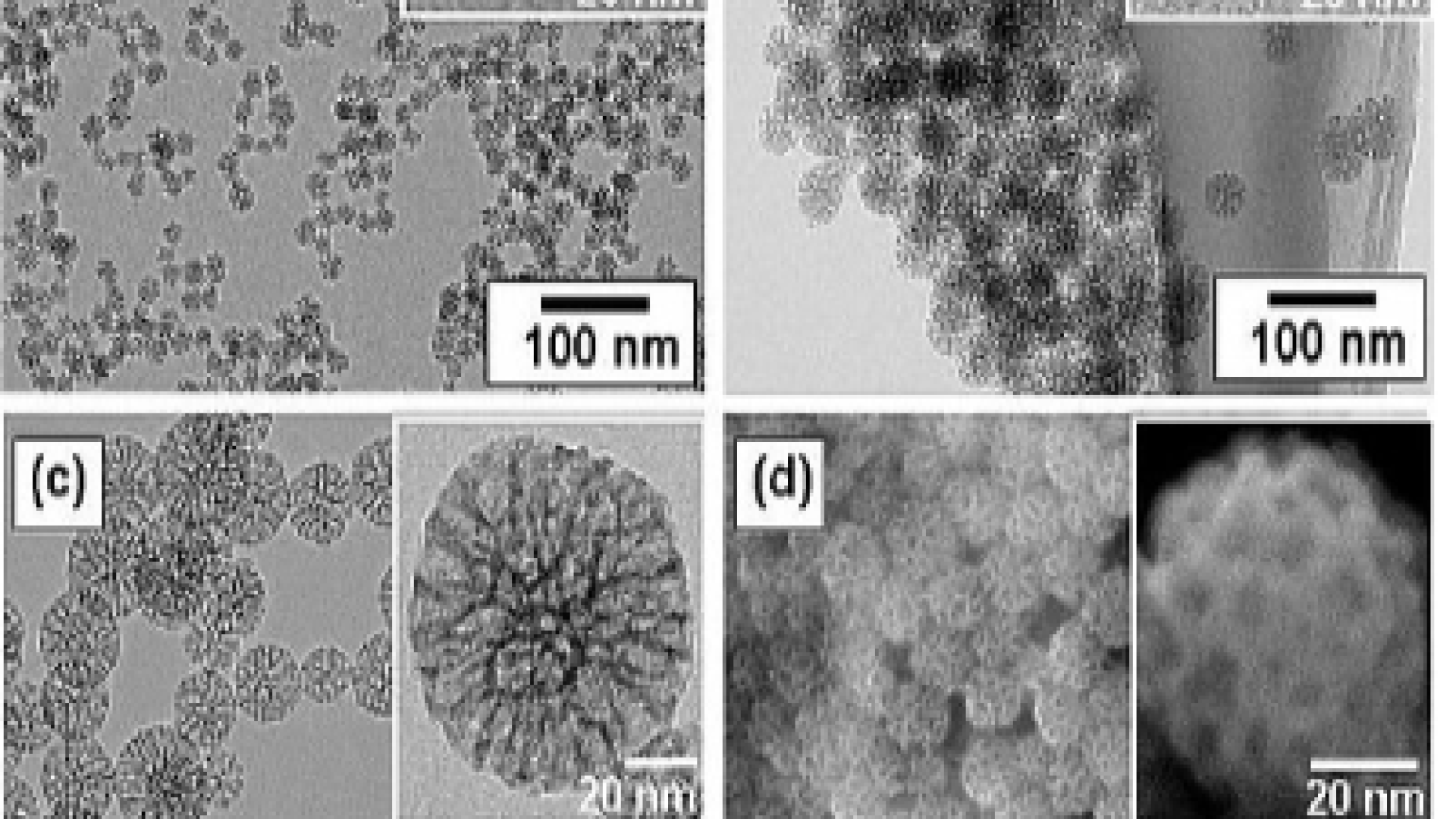 Защо не е възможно да се разработи ефективна ваксина против ковид?