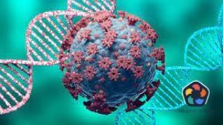 В тестовете за Ковид се съдържа вещество което изменя ДНК