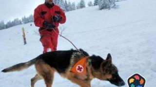 Спасяват тежко пострадал турист в Рила