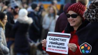 Протестиращи настояха за строги и ефективни наказания срещу насилниците над животни