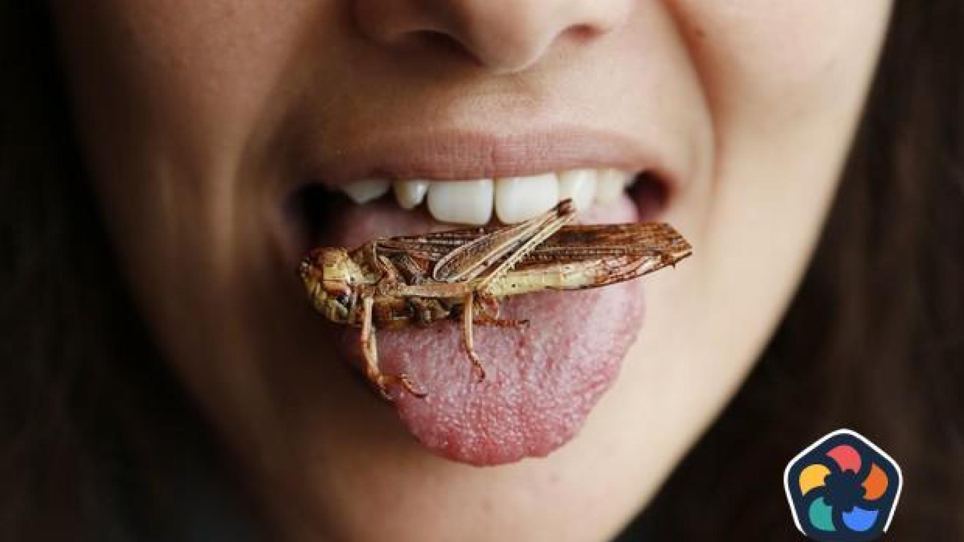 Храните от насекомите на прах предизвикват развитието на Рак