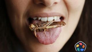 Храните от насекомите на прах предизвикват развитието на Рак