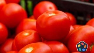 Турция премахна забраната за износ на домати