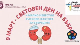 Четири малко известни рискови фактора, които увреждат бъбреците