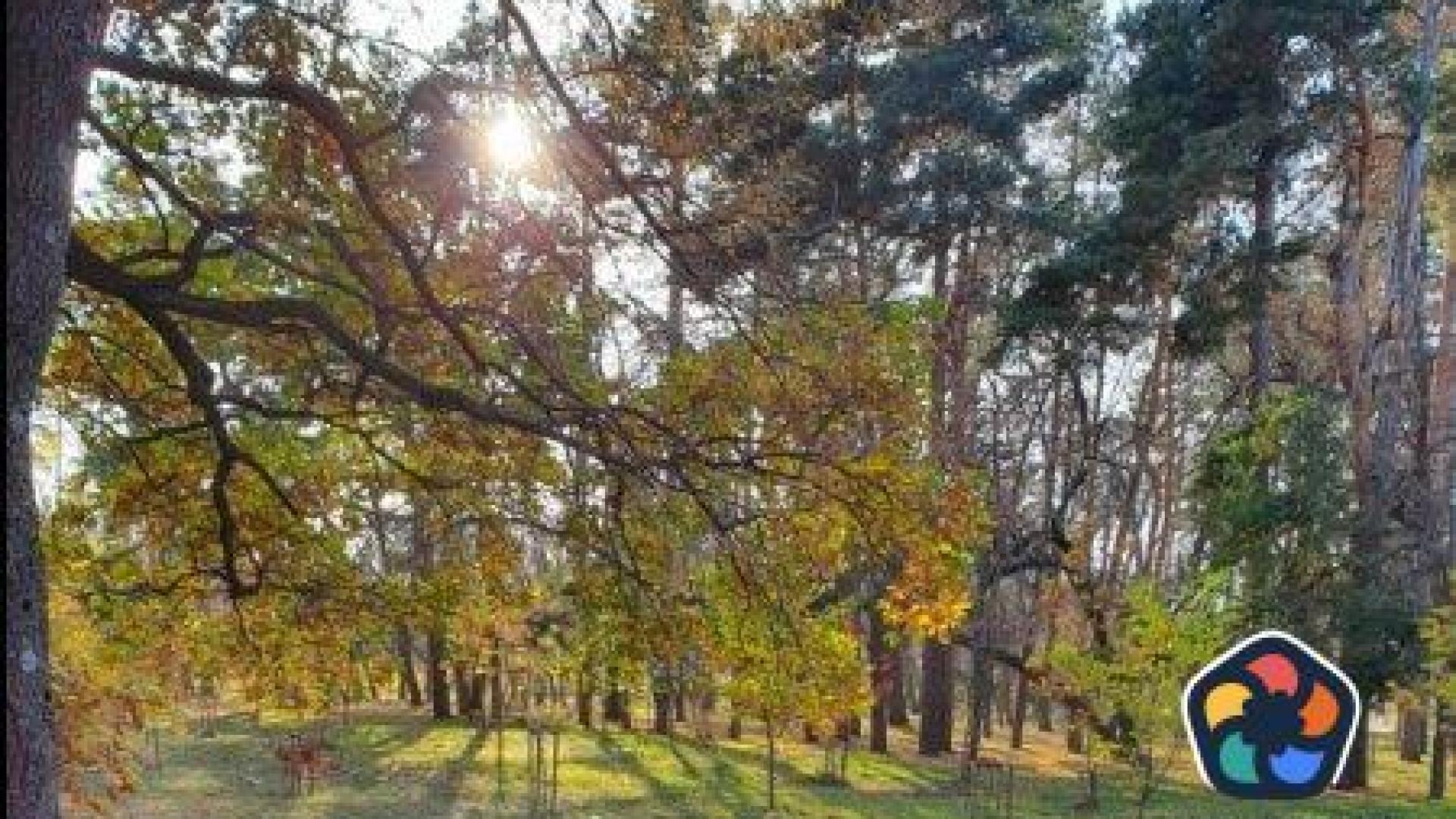 Правителството апортира имота в "Горна баня" в инвестиционната компания за детската болница