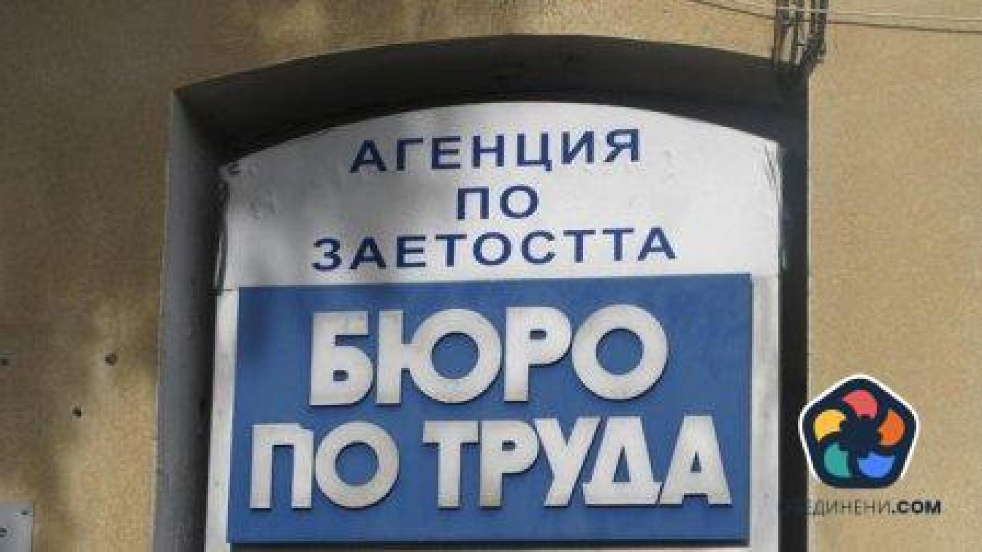 Спад на безработицата с един пункт за година до 4.3%