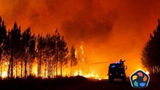 Първи голям горски пожар в Испания за тази година опустоши площ от над 3000 хектара
