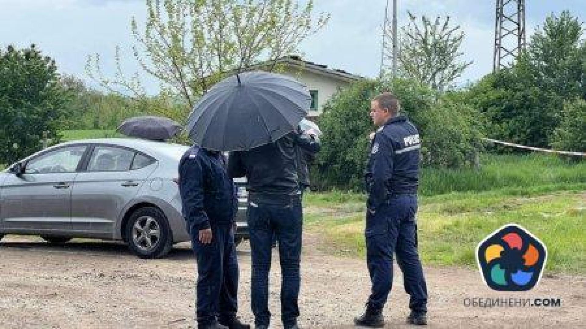 Глутница кучета разкъса млада жена в Долна Оряховица