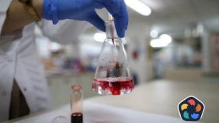 Училищата вече може да кандидатстват за пари за STEM кабинети