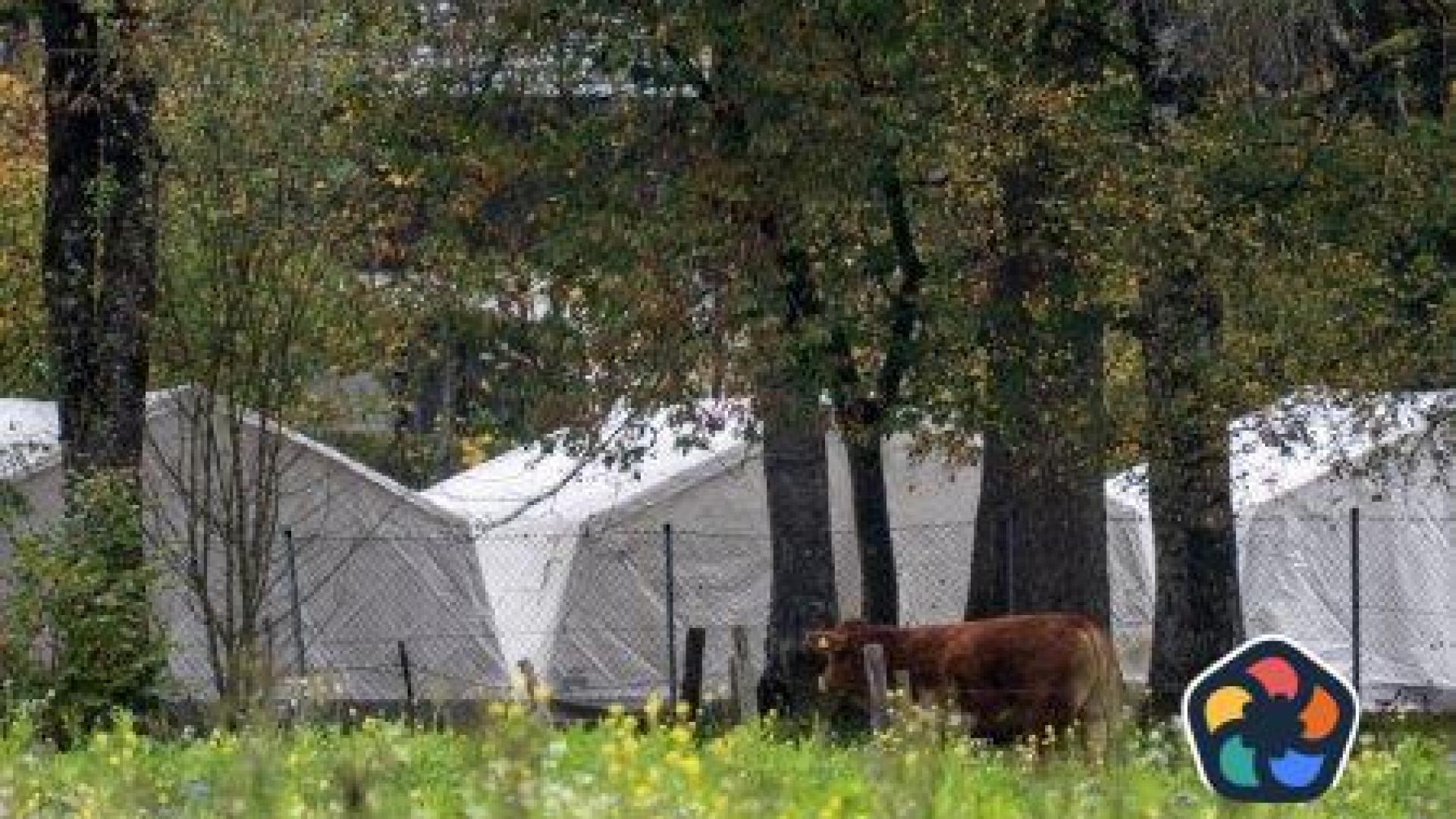 Австрия няма да вдига ветото за Шенген, докато търсещите убежище не спаднат трайно