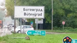 Пътната агенция обяви нова мега поръчка за над 123 млн. лв.