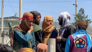 Талибаните искат да се забрани музиката в ритуалните зали в Кабул