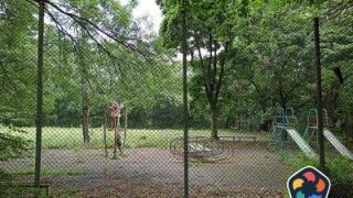 Общината се готви да даде 13.5 дка от софийски парк за игрища за петанк