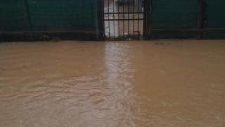 Обстановката след пороите се нормализира. Започва описването на щетите