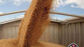 Брюксел одобри обещаните 9.77 млн. евро за българските зърнопроизводители