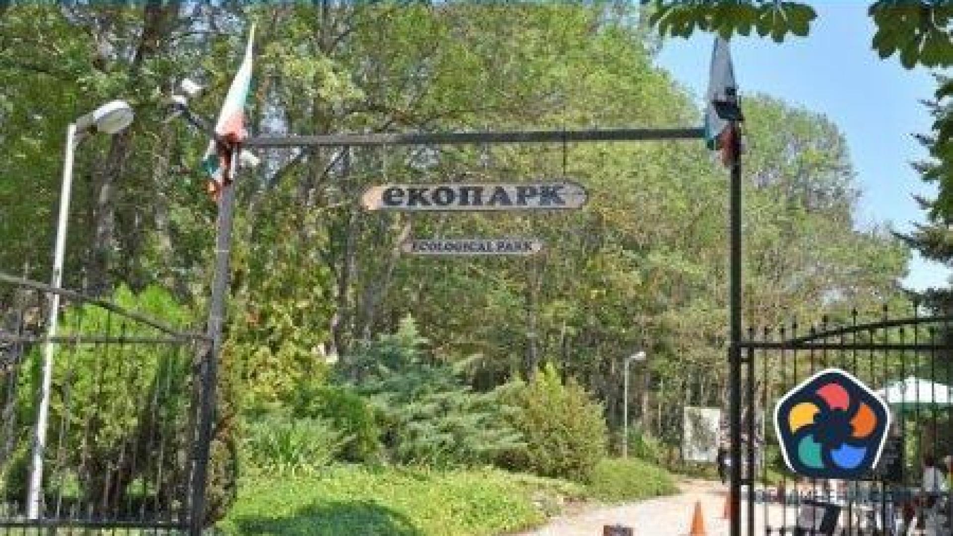 Мъж загина, а трима други са с изгаряния след токов удар в екопарк във Варна
