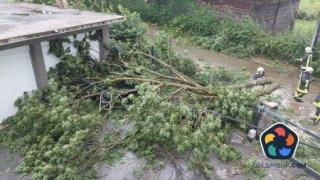 Пет жертви в Западните Балкани след буря тази нощ