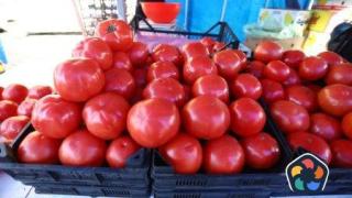 Цените на храните на едро спадат с 2% за една седмица