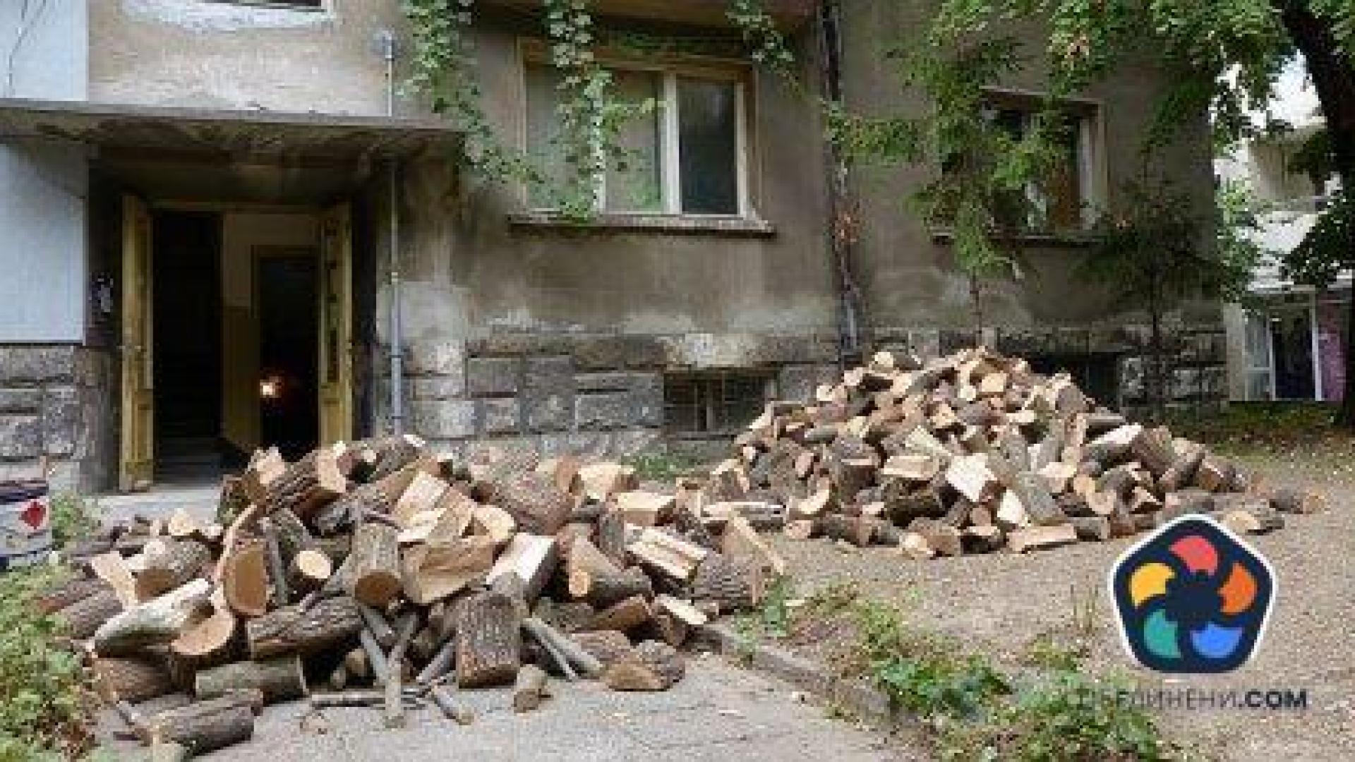 ДПС се провали предизборно да завиши дървата за огрев