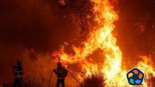 Около 1400 души са евакуирани заради пожар в Португалия