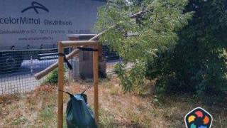 12 дървета са отрязани в и около двора на болница в София