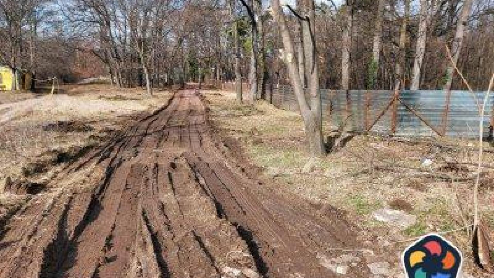 Частният собственик на къпалнята "Мария Луиза" се загрижи за дърветата в нея