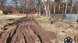 Частният собственик на къпалнята "Мария Луиза" се загрижи за дърветата в нея