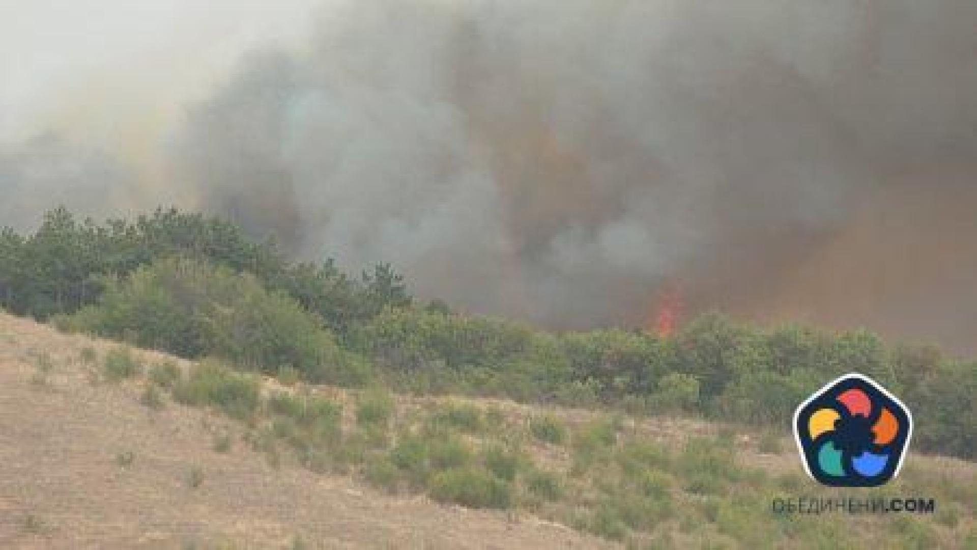 Пожарът край село Изворище е локализиран