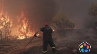 Пожарите в Гърция изпепелиха над 400 кв. км за три дни