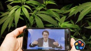 Германските "клубове за канабис" са в подем с наближаващата легализация
