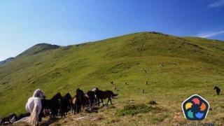 Пастирът, подал фалшив сигнал за изчезнали туристи в Стара планина, е арестуван