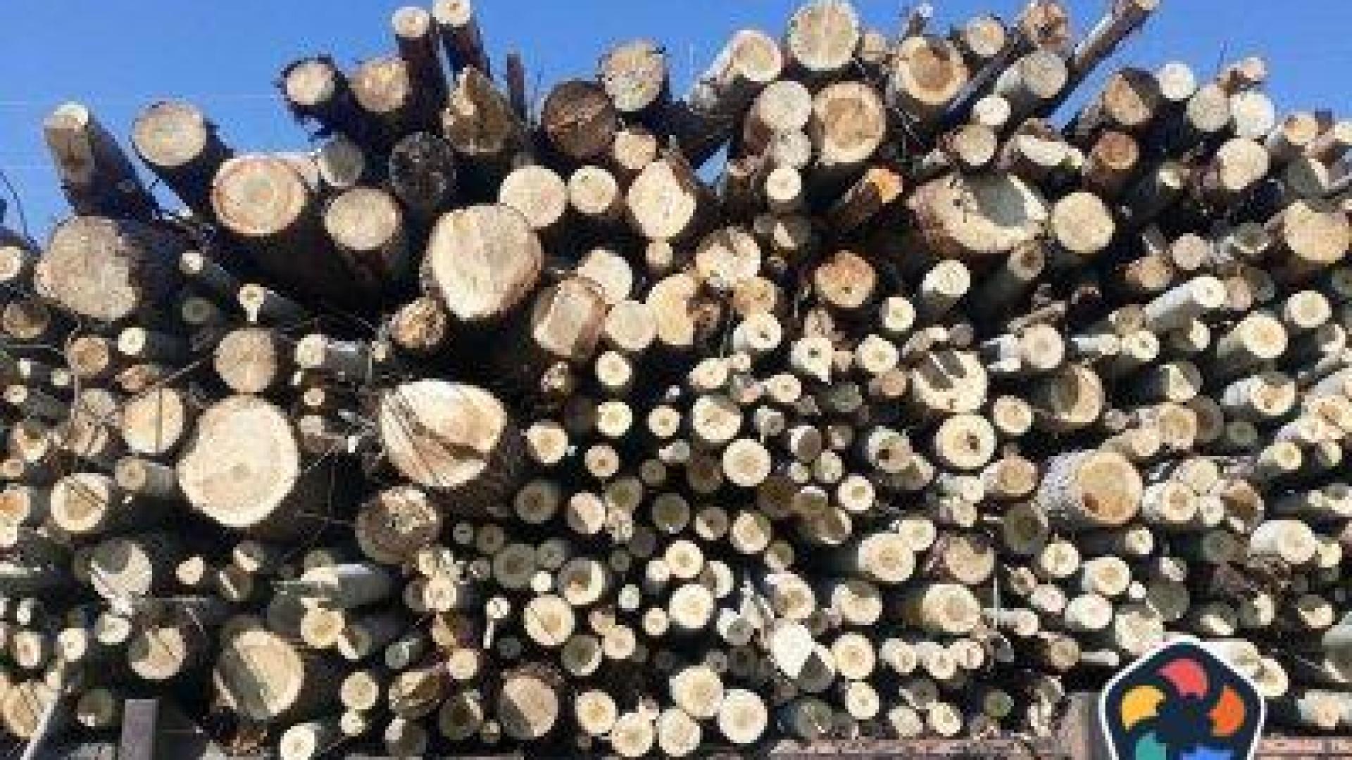 Прокуратурата търси корупция в община Омуртаг