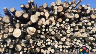 Прокуратурата търси корупция в община Омуртаг