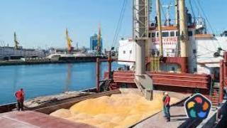 Собственикът на "Олива" изнася българска пшеница за Египет след като Русия се отказа