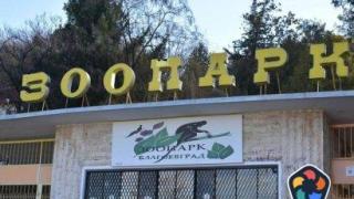Пет мъртви кошути и елени са открити в благоевградския зоопарк