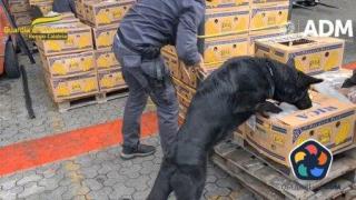 Белгия арестува български шофьор за трафик на 700 кг кокаин