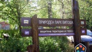 Екоминистерството бави 7 години приемане на план за парк "Витоша", платен с европари