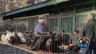 Фермери обвиниха Агенцията по храните, че лобира за едрите производители и ги обрича на фалити