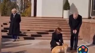 Кучето на президентката на Молдова ухапа гостуващия австрийски президент