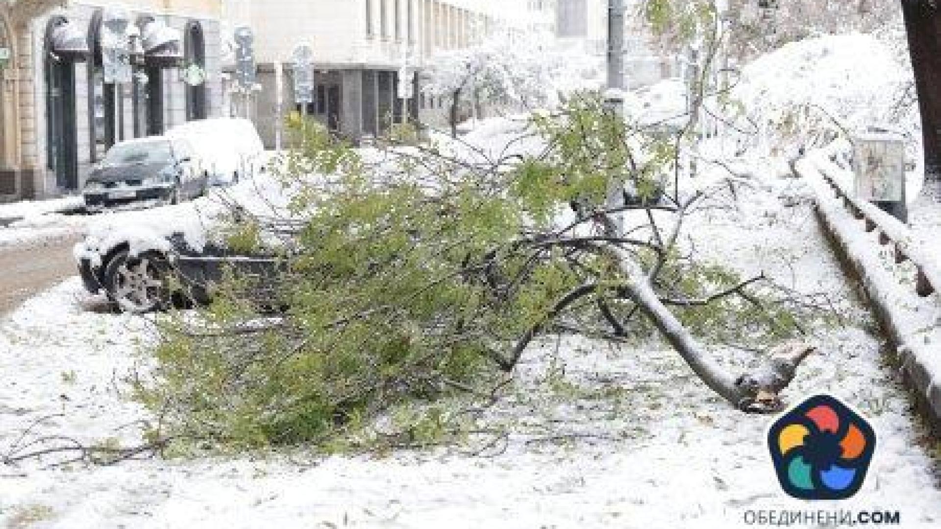 Снежна София: Градът е проходим, някои райони нямат ток, пътищата на Витоша са затворени