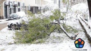 Снежна София: Градът е проходим, някои райони нямат ток, пътищата на Витоша са затворени