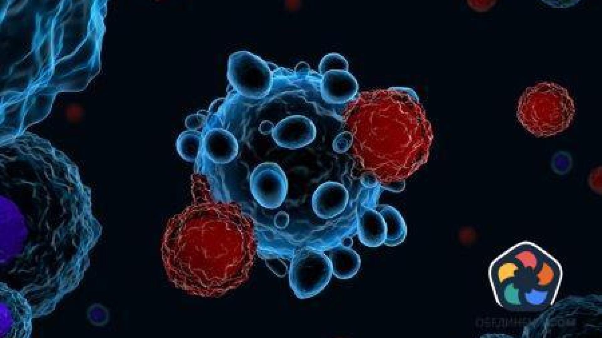 FDA предупреждава, че CAR-T терапията може да увеличи риска от вторичен рак