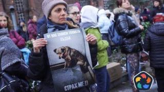 Лоши условия и за кучета, и за хора. Сменен е шефът на "Екоравновесие"