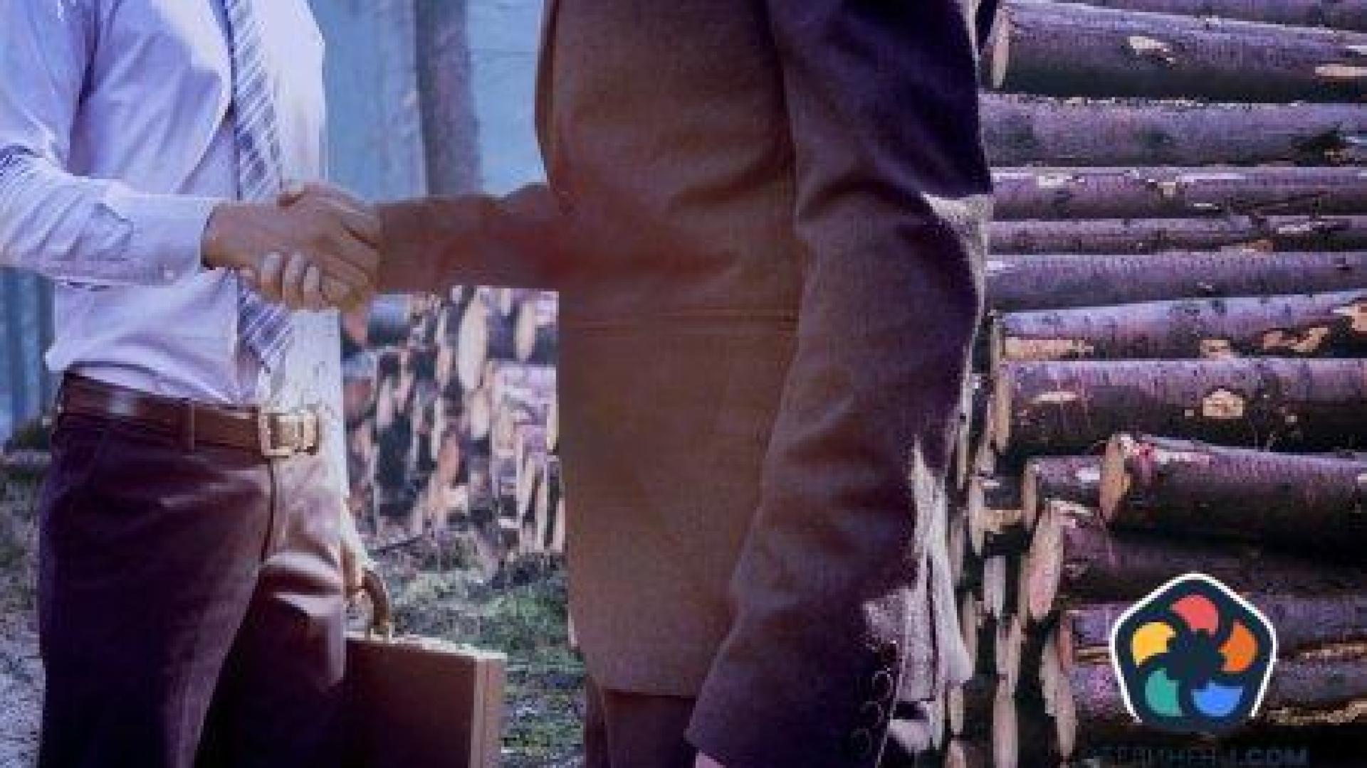 Стражари, апаши и проблемите с държавните горски фирми