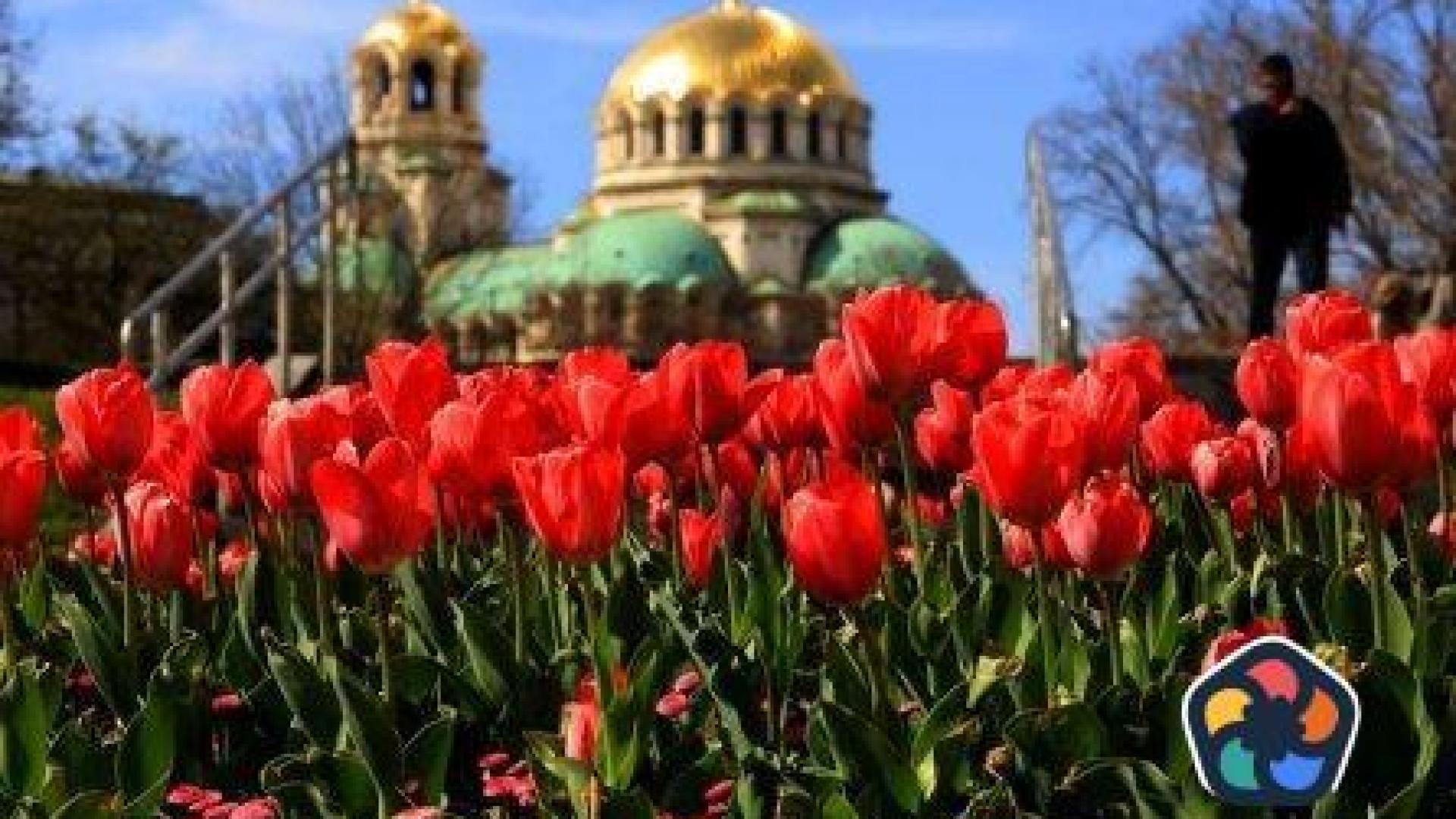 Бюджетът на София от 2.6 млрд. лева беше приет въпреки критиките
