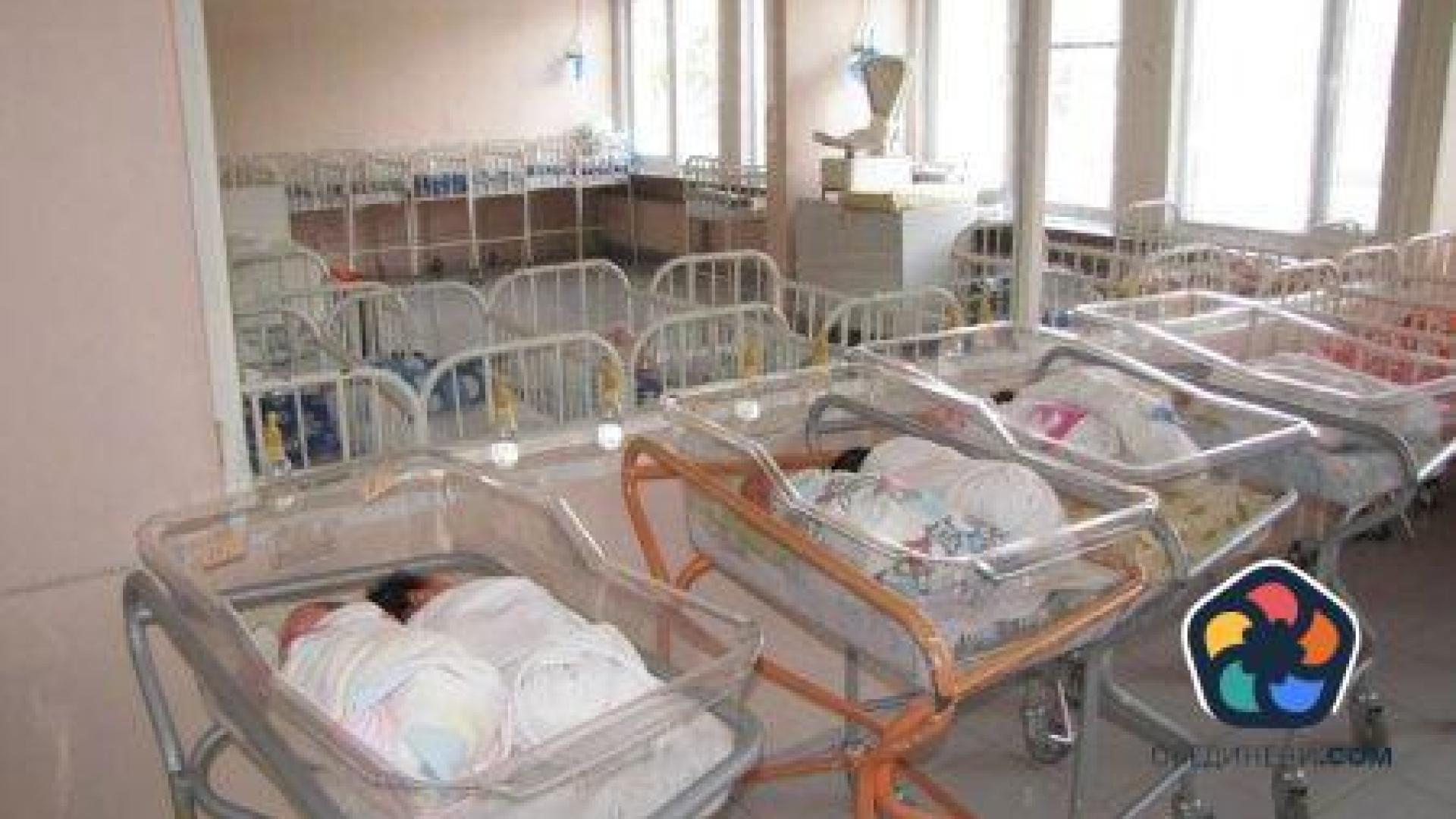 За 15 години са се родили 16 600 деца от държавната инвитро програма