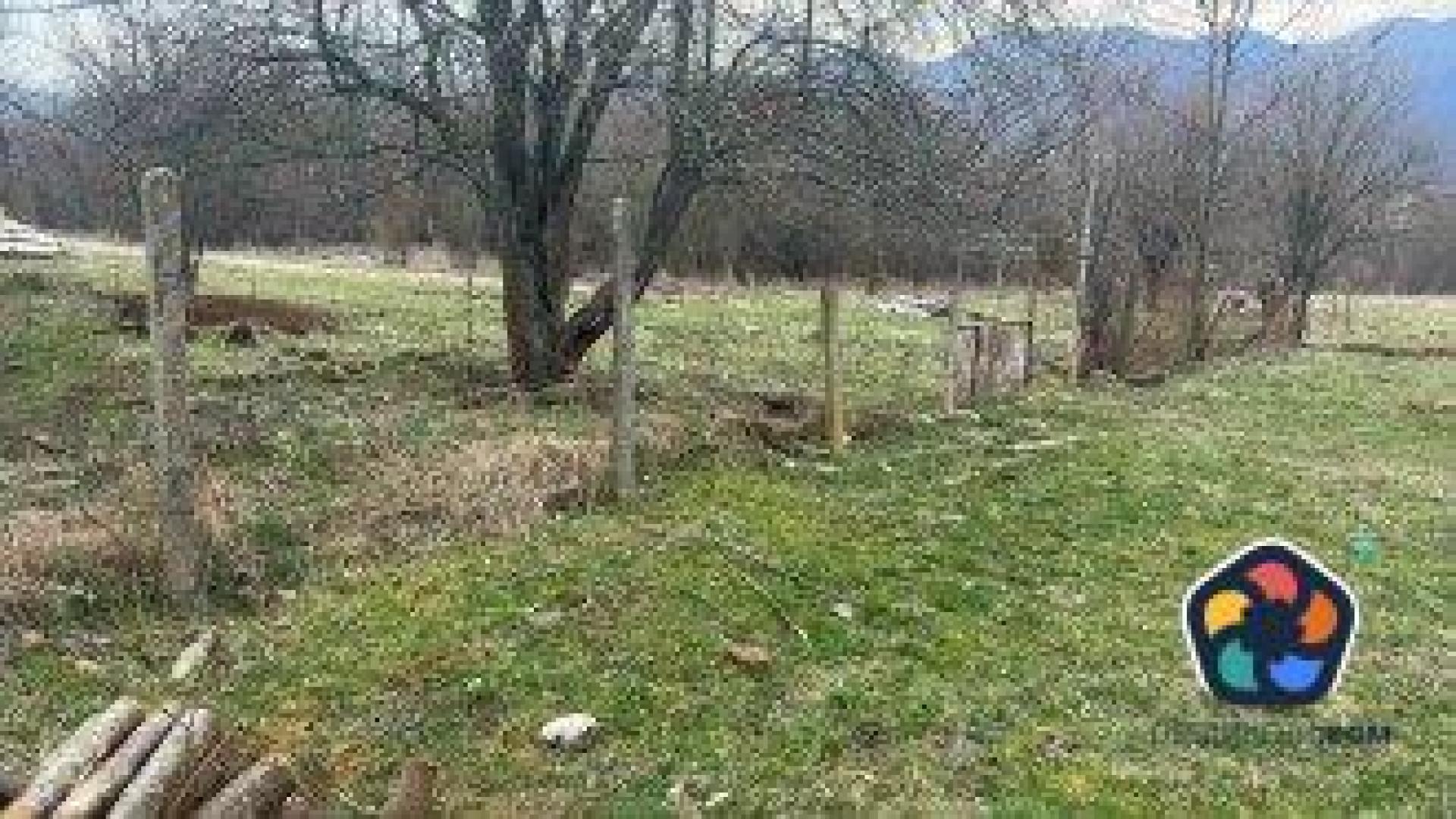 Стотина изстрадали бездомничета очакват своя планински рай