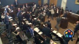 Бой в грузинския парламент при обсъждане на проектозакона за "чуждестранните агенти"