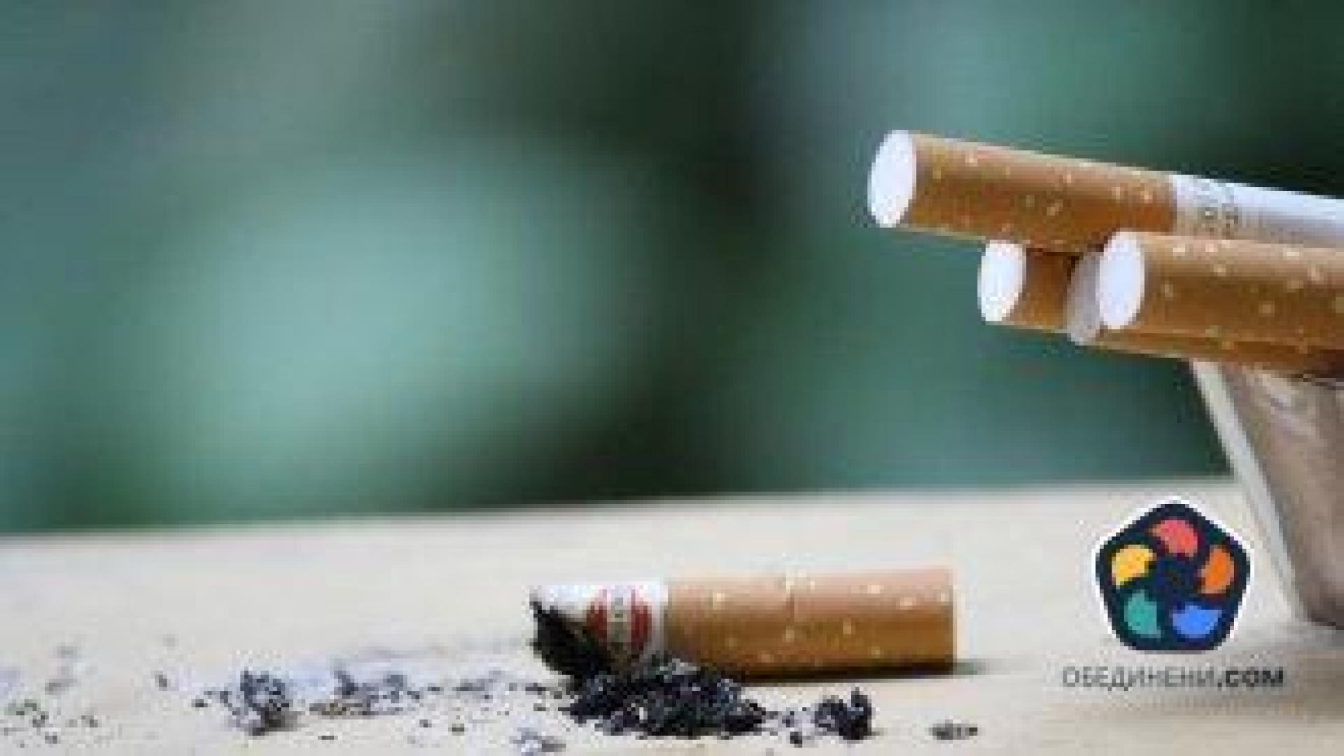 Над 40 хил. кутии контрабандни цигари са задържани на "Лесово"