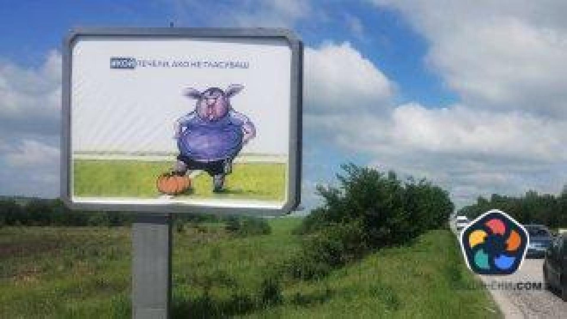 Ниска избирателна активност гарантира "стабилност" и постна пица с бухалки